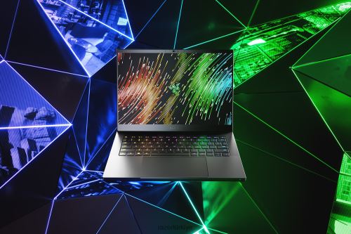 dizüstü bilgisayar Razer bıçağınızı kişiselleştirin 14 tek renk 44RV41