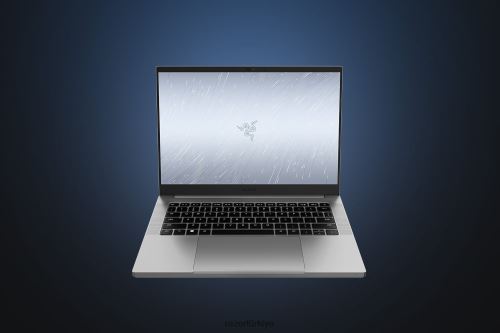 dizüstü bilgisayar Razer bıçağınızı kişiselleştirin 14 tek renk 44RV42