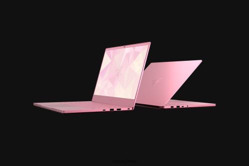 dizüstü bilgisayar Razer bıçağınızı kişiselleştirin 14 tek renk 44RV44
