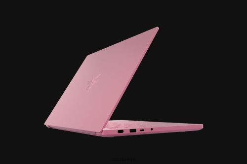dizüstü bilgisayar Razer bıçağınızı kişiselleştirin 14 tek renk 44RV44