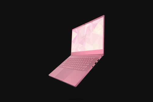 dizüstü bilgisayar Razer bıçağınızı kişiselleştirin 14 tek renk 44RV44