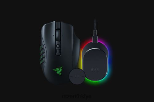 fareler Razer naga v2 pro + fare dock pro paketi tek renk 44RV444