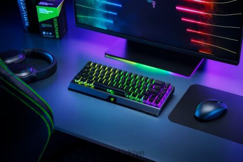 tuş takımı Razer blackwidow v3 mini hyperspeed - phantom edition - sarı anahtar - bize siyah 44RV464