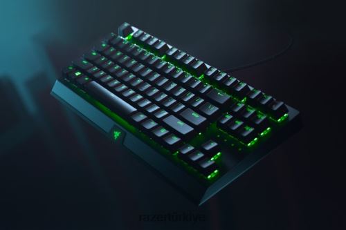 tuş takımı Razer blackwidow v3 tenkeyless - sarı anahtar - bize siyah 44RV462