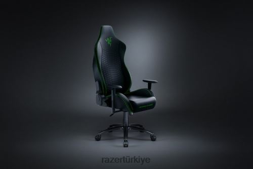 oyun koltuğu Razer işkur tek renk 44RV4139